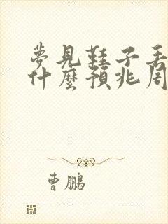 梦见鞋子丢了是什么预兆周公解梦