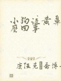 小狗流黄鼻涕怎么回事