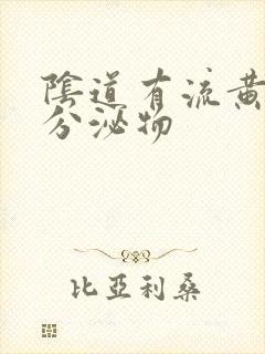 阴道有流黄脓状分泌物