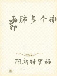 两肺多个微小结节