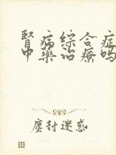 肾病综合症能用中药治疗吗