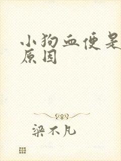 小狗血便是什么原因