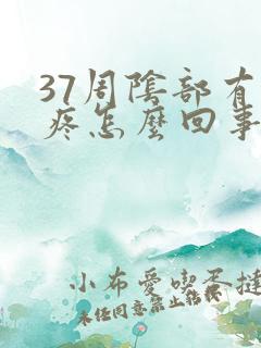 37周阴部有点疼怎么回事