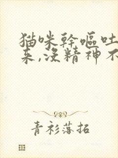 猫咪干呕吐不出来,没精神不吃东西