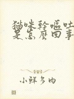 猫咪干呕吐黄水是怎么回事