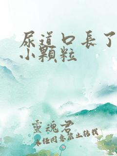 尿道口长了许多小颗粒