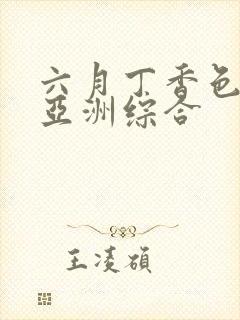 六月丁香色婷婷亚洲综合