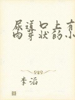 尿道口上有一圈肉芽状的小肉体