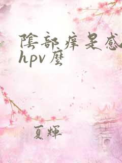 阴部痒是感染了hpv么