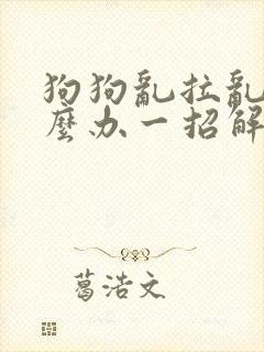 狗狗乱拉乱尿怎么办一招解决
