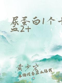 尿蛋白1个十潜血2+