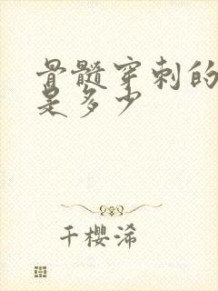 骨髓穿刺的费用是多少