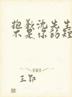 抱歉沈先生孩子不是你的短剧免费在线观看