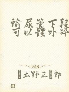 输尿管下段结石可以体外碎石