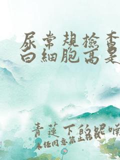 尿常规检查镜检白细胞高是什么原因