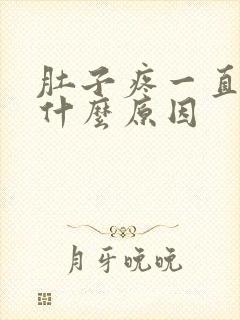 肚子疼一直疼是什么原因