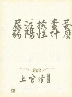 尿液检查蛋白质弱阳性什么意思