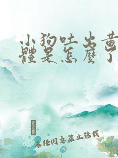 小狗吐出黄色液体是怎么了