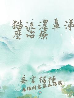 猫流浓鼻涕是怎么治疗