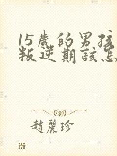 15岁的男孩子叛逆期该怎么沟通