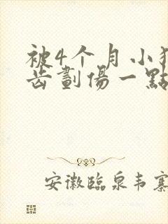 被4个月小狗牙齿划伤一点皮出血有事吗