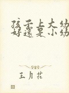 孩子上大幼儿园好还是小幼儿园好