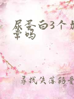 尿蛋白3个加正常吗