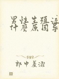 男性生殖流脓是什么原因导致的