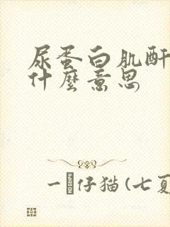 尿蛋白肌酐比值什么意思