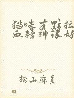 猫咪有点拉稀带血精神很好