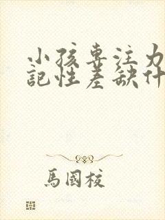 小孩专注力不好记性差缺什么