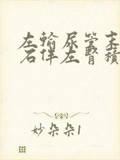 左输尿管末端结石伴左肾积水