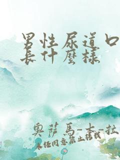 男性尿道口疣体长什么样