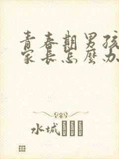 青春期男孩叛逆家长怎么办