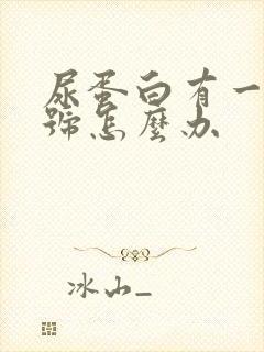 尿蛋白有一个加号怎么办