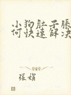 小狗肚子胀气如何快速解决