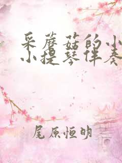 采蘑菇的小姑娘小提琴伴奏mp3