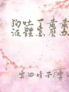 狗吐了黄黄粘稠液体怎么办