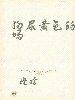 狗尿黄色的正常吗