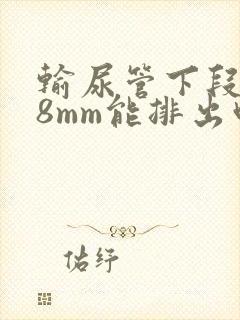 输尿管下段结石8mm能排出吗