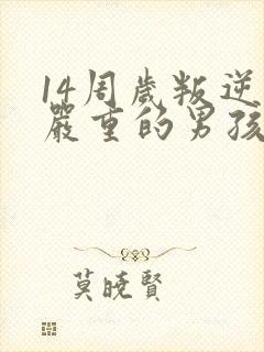 14周岁叛逆期严重的男孩如何管教