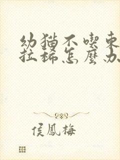 幼猫不吃东西还拉稀怎么办