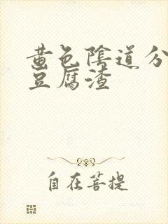 黄色阴道分泌物豆腐渣