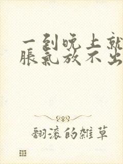 一到晚上就肚子胀气放不出屁难受