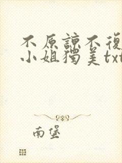 不原谅不复合苏小姐独美txt下载全本免费