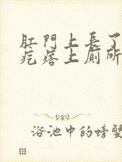 肛门上长了个肉疙瘩上厕所出血