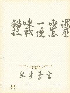 猫咪一吃湿粮就拉软便怎么办