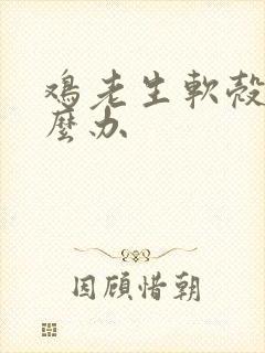 鸡老生软壳蛋怎么办