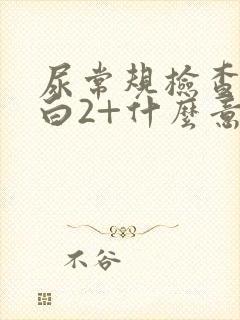 尿常规检查尿蛋白2+什么意思