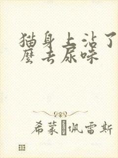 猫身上沾了尿怎么去尿味